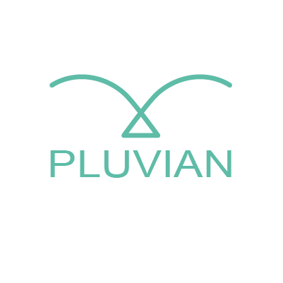 pluvian, agence de référencement